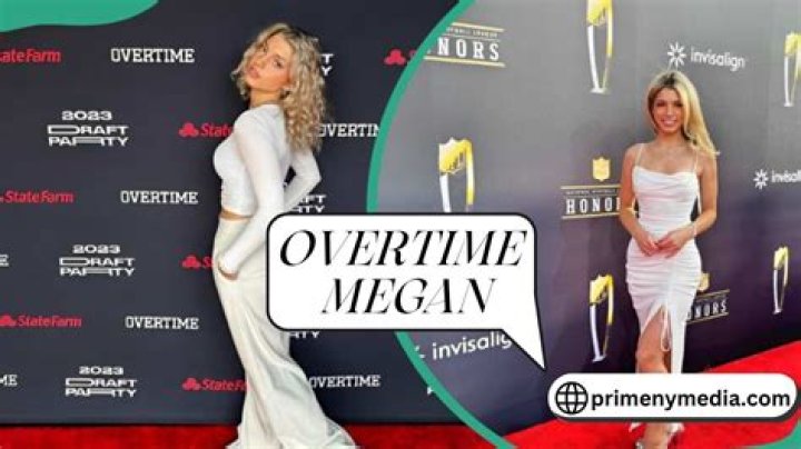 Discoveries And Insights From The "Overtime Megan Folder"