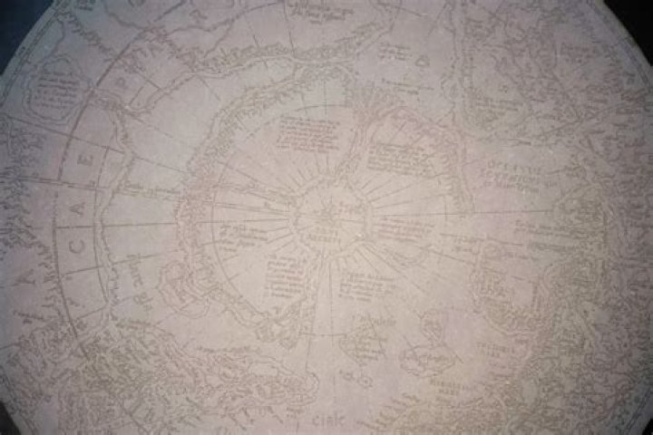 Discoveries In Olga Zajak's Interdisciplinary Realm