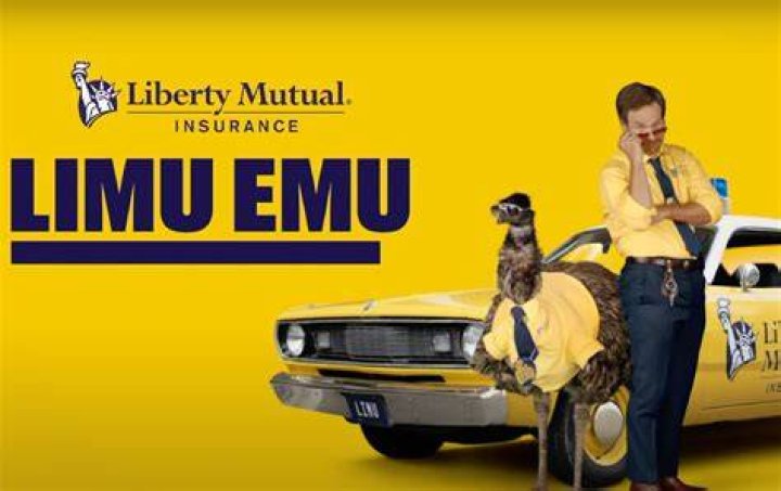 Dive Into The World Of "Liberty Mutual Emu Wife"