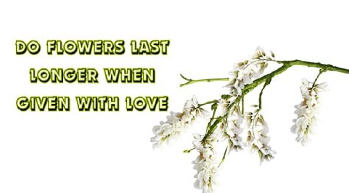 Do Flowers Given With Love Truly Last Longer?