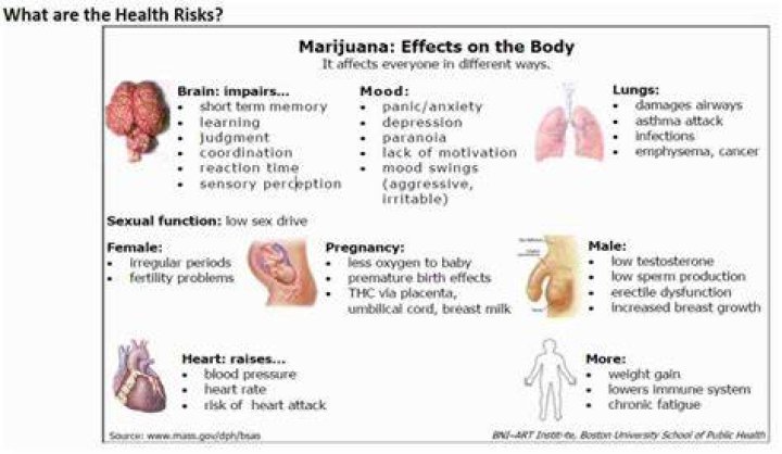 Does cannabis have antioxidants in it?