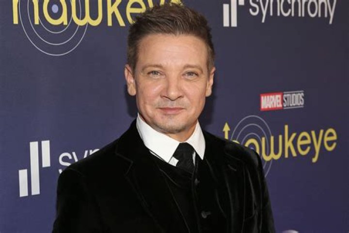 Does Jeremy Renner have twins?