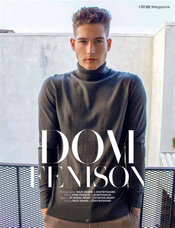 Dom Fenison DT Model Management