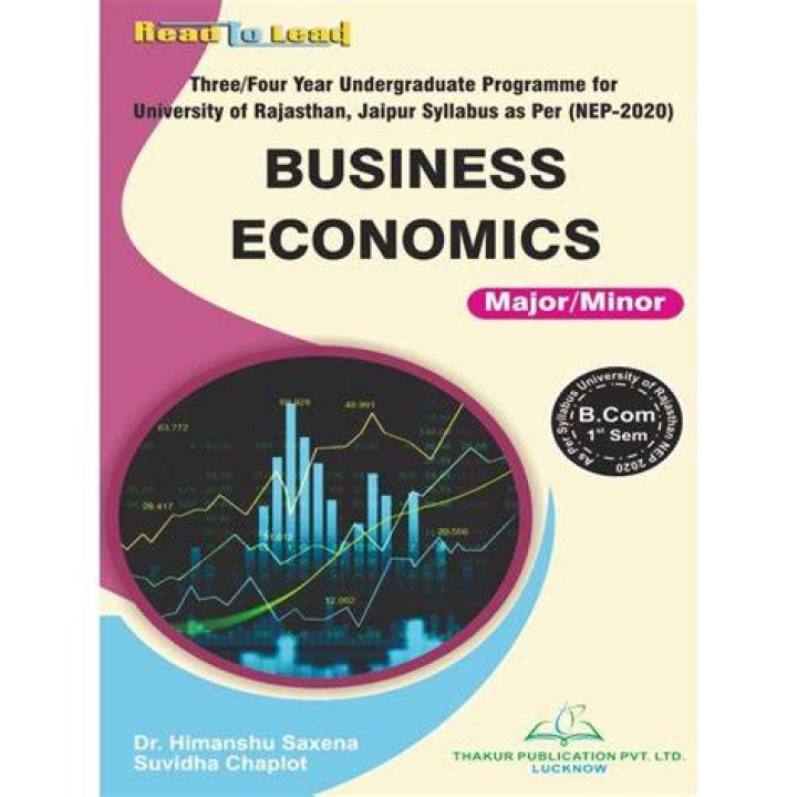 Economics Minor