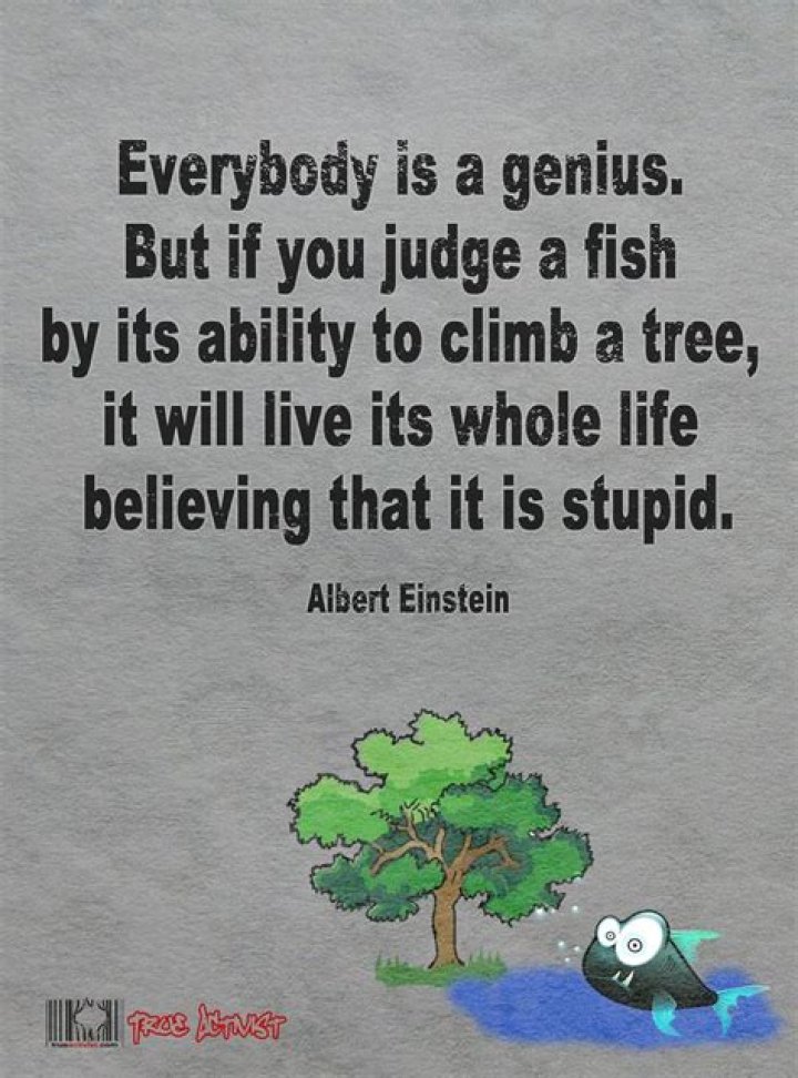 Einstein Everybody is a genius&hellip; Live by quotes