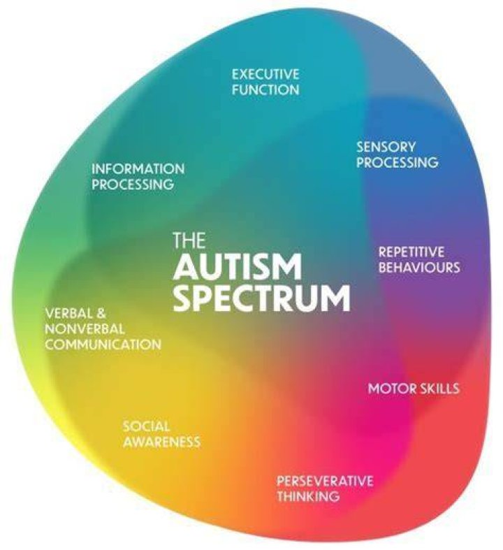Elizabeth Holmes And The Spectrum Of Autism