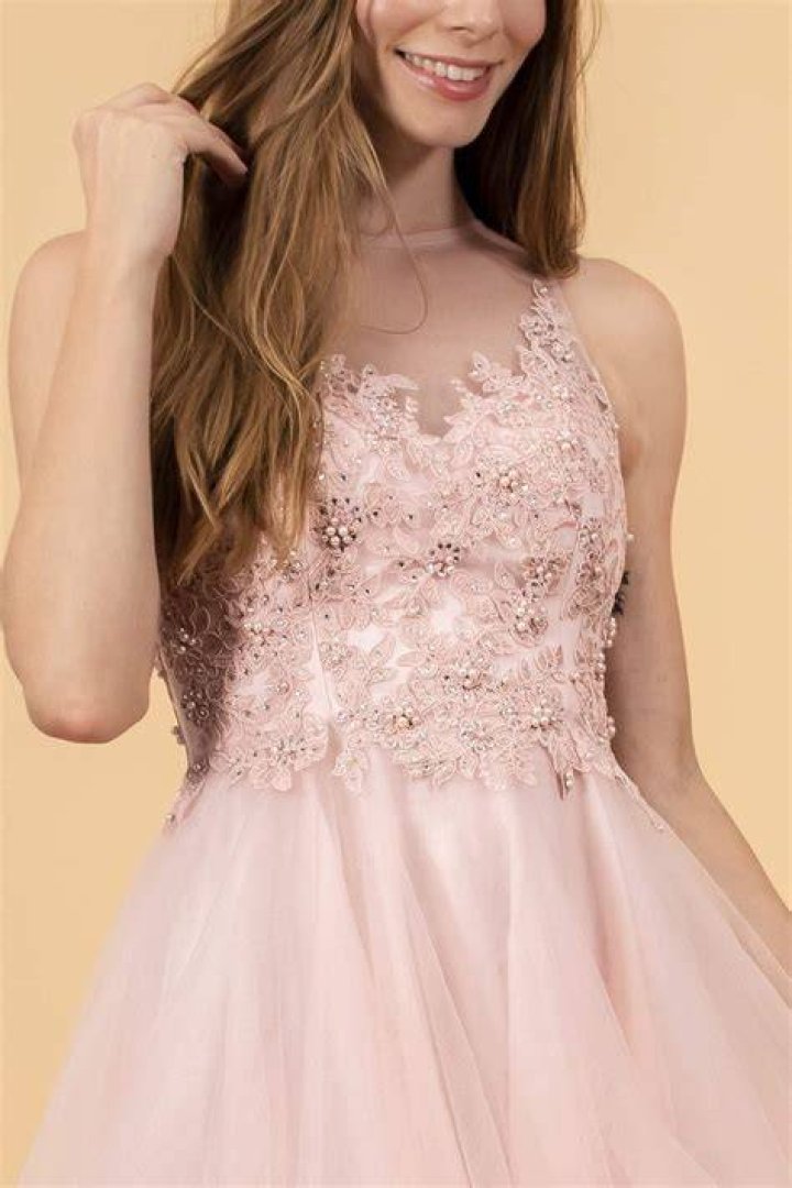 Elizabeth K GS1607 Embroidered Bodice Illusion Tulle Cocktail Dress
