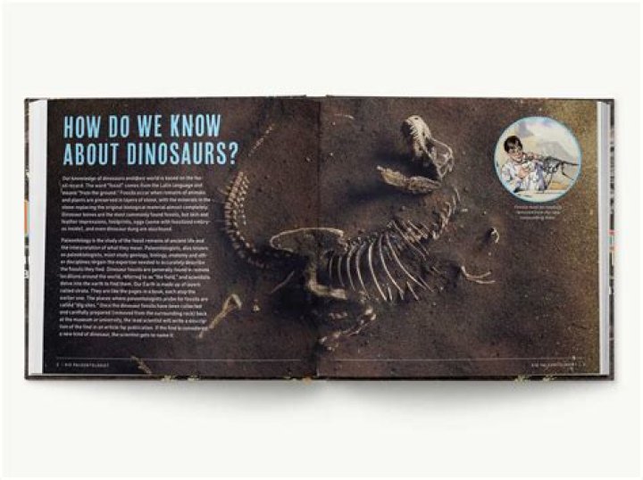 Explore "back Pages Lubbock" For Remarkable Discoveries