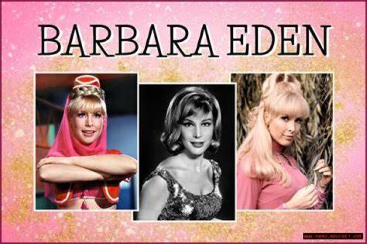 Explore Barbara Rauf's Visual Archive