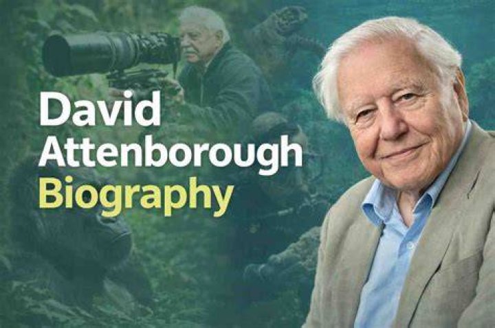 Exploring David Attenborough's Net Worth