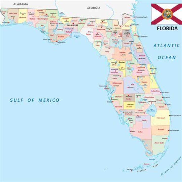 Exploring Democratic Cities In Florida