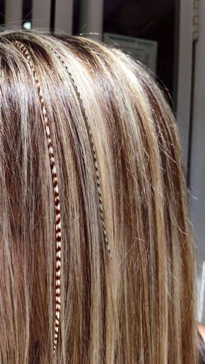 Extensiones de plumas para el cabello La Central del Cabell