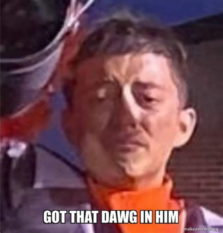 Got that dawg in him Memes Pi&ntilde;ata Farms The best meme generator and