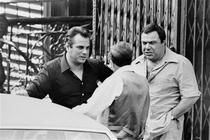 Grandson of mob boss John Gotti to debut as MMA fighter Daily Mail Online