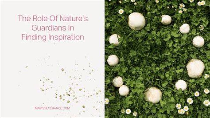 Guardians Of Success And Inspiration