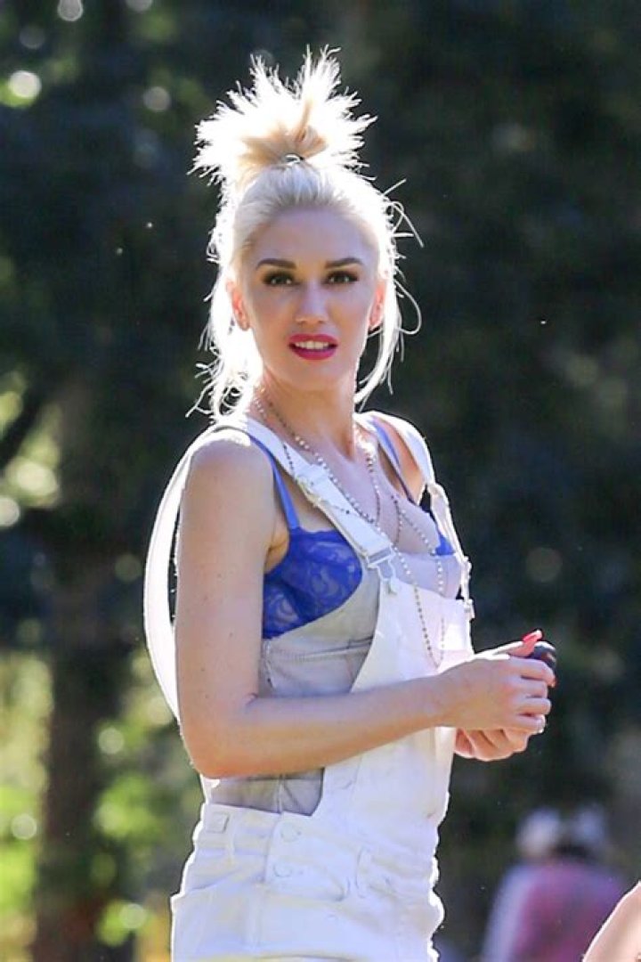 Gwen Stefani, 2015 Celebrities at the AMAs Now and Then 2015