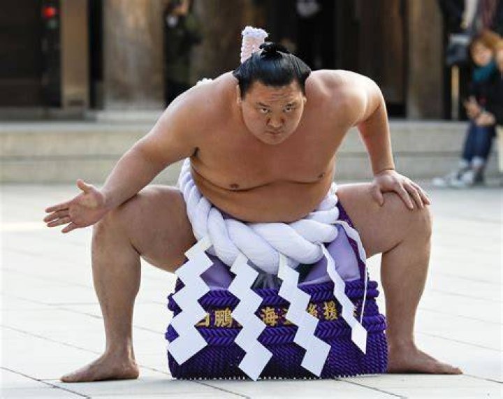 Hakuho, sumo's recordsetting yokozuna, to retire The Japan Times