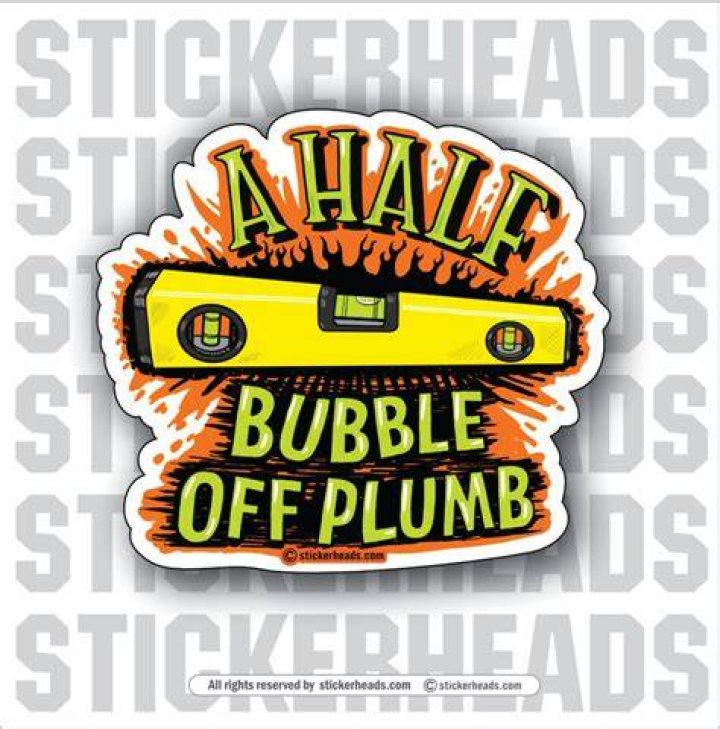 half a bubble off plumb, Artist Susan Mikula may be less known than her...