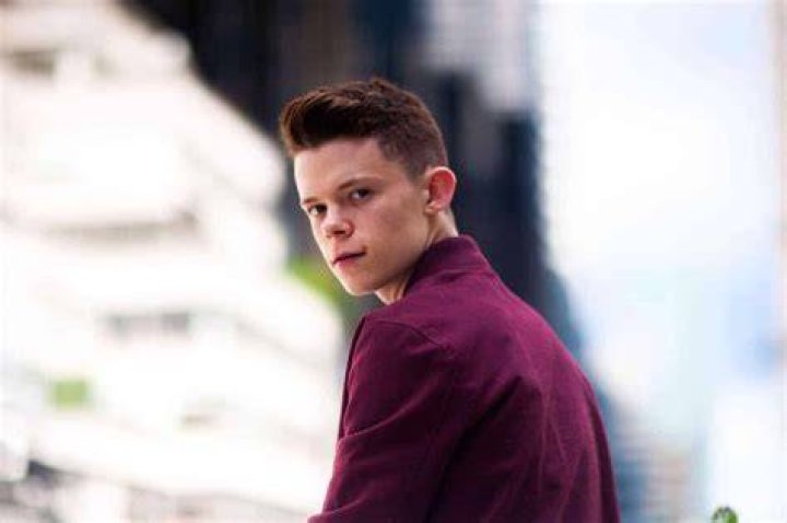Harry Holland Movies, Net Worth, Brother, Age, Parents, School, Career