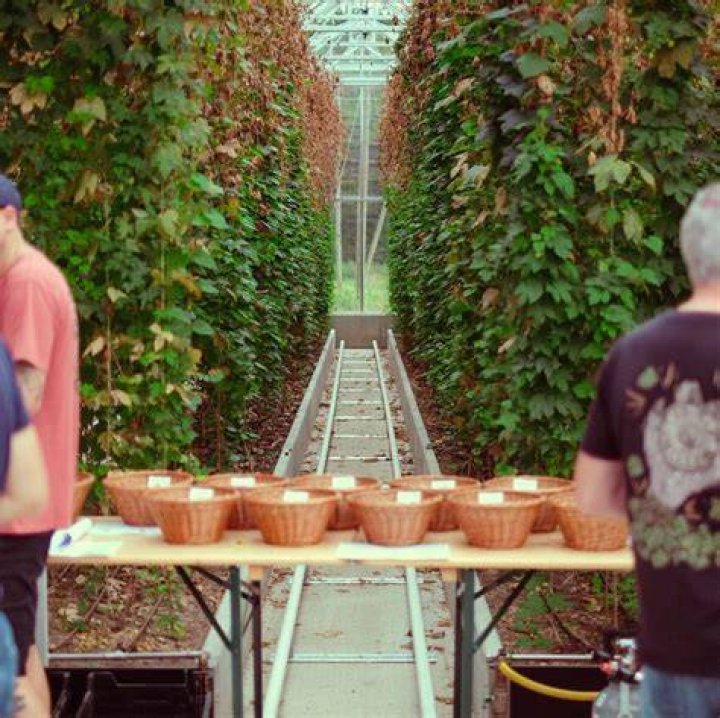Harvest Tour & CookAlong with Daniel Boulud American Pistachio Growers