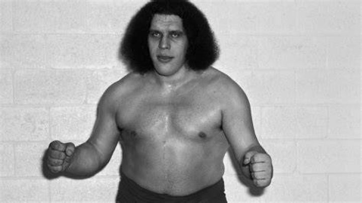 How Big Was Andre the Giant?