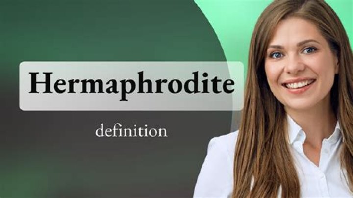 How can a human be a hermaphrodite?
