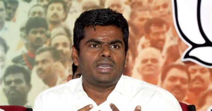 How Did TN BJP Chief Own A Rafale Watch? India News