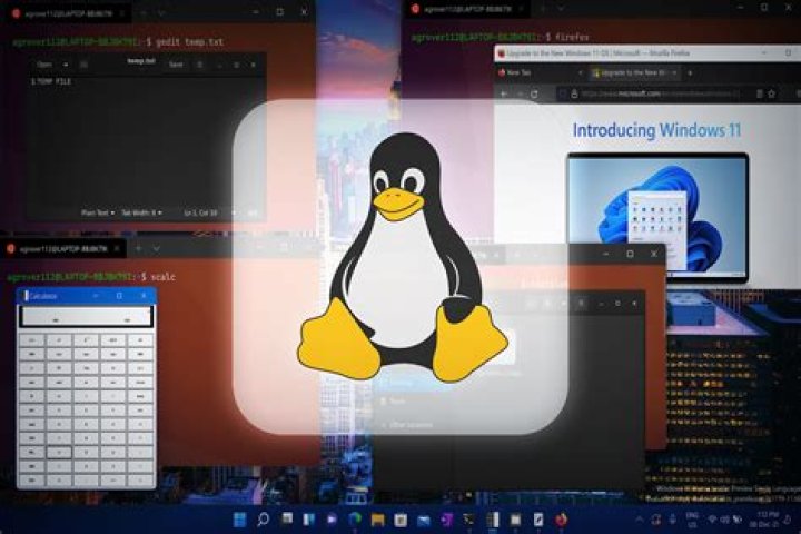 How do I run a Linux background job?