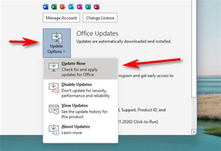 How do I update my Microsoft Word 2007?