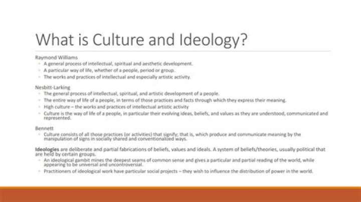 How does Raymond Williams define ideology?
