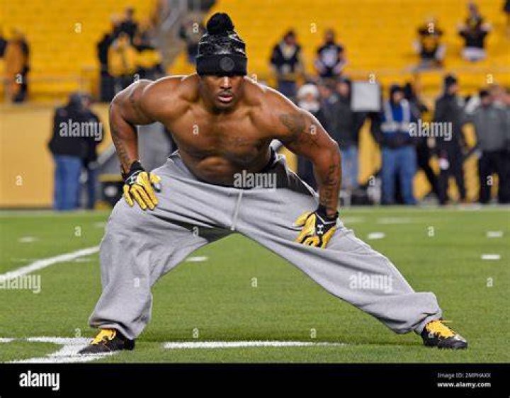 How Much Can James Harrison squat? ·