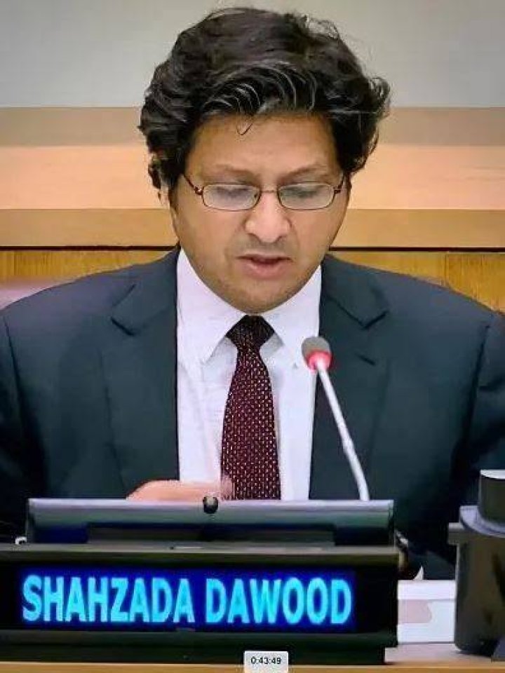 How Much Is Shahzada Dawood Worth? ·
