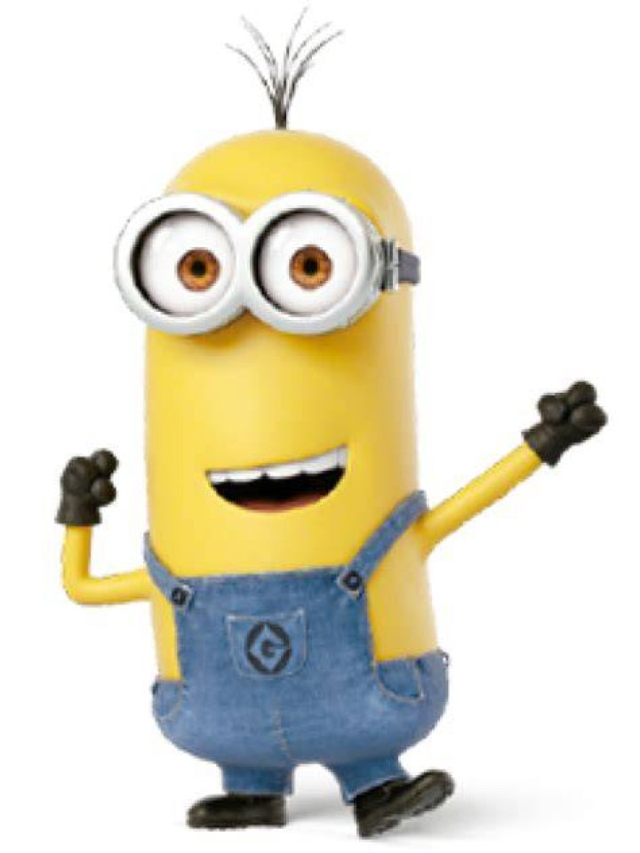 How old is Kevin minion?