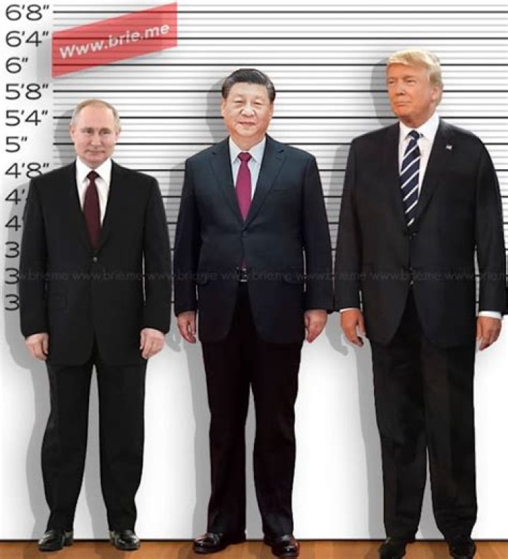 How Tall Is Putin? Unmasking The Russian Leader's Height!