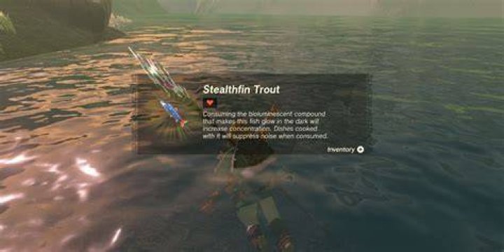 How to Get Stealthfin Trout in Tears of the Kingdom (TOTK) Prima Games