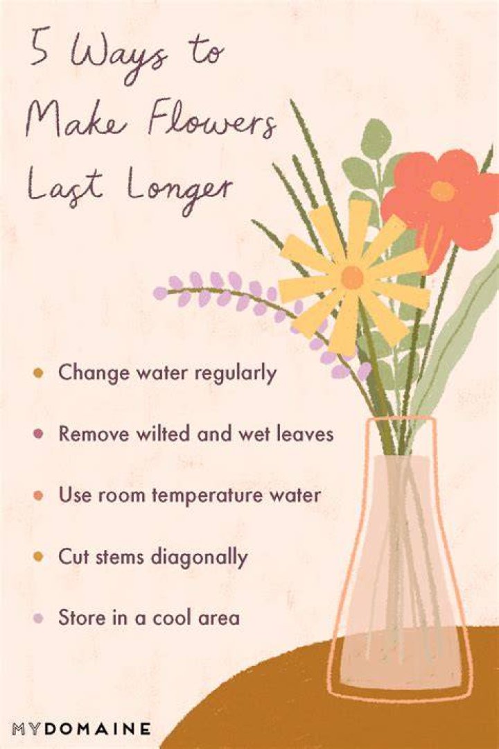 How to Make Flowers Last Longer POPSUGAR Smart Living