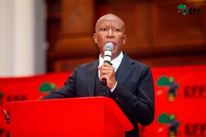 How Wealthy is the EFF Leader? |