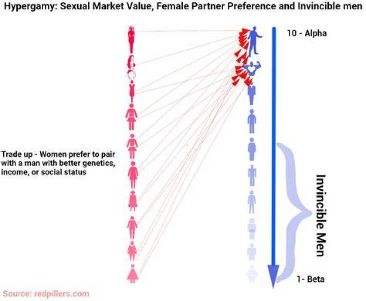 Hypergamy & Hypogamy Definition & Differences Video & Lesson