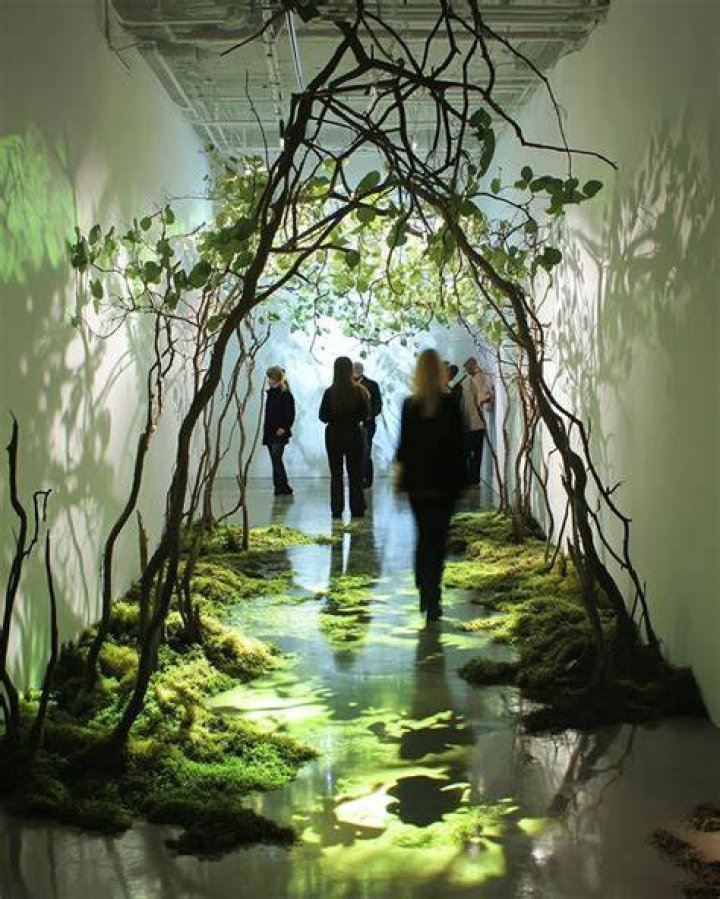 Immersive Art And Nature's Embrace