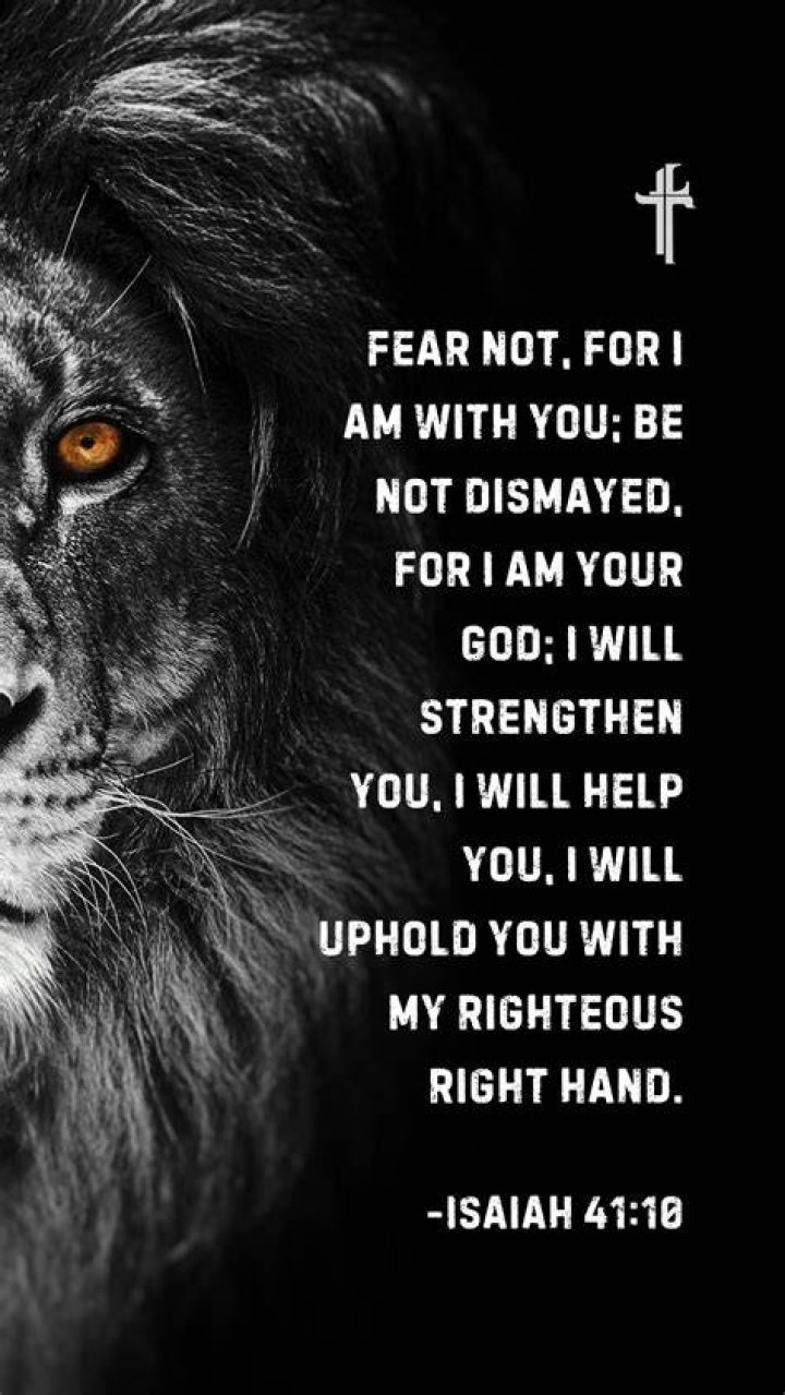 In Gallery 41 Strength HD wallpaper Pxfuel