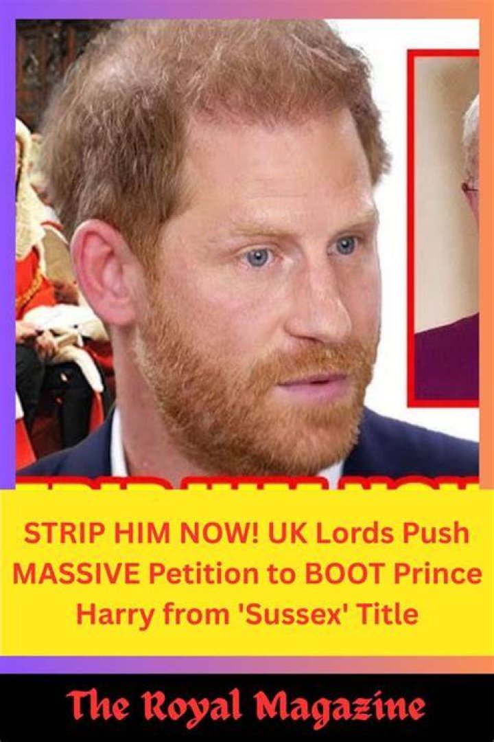 Inside The Parliament's Response To The Sussex Title Petition