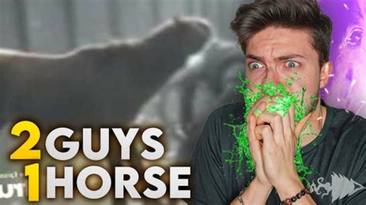Insights Into "2 Guys 1 Horse"