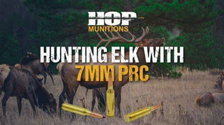 Is a 7mm STW good for elk hunting?
