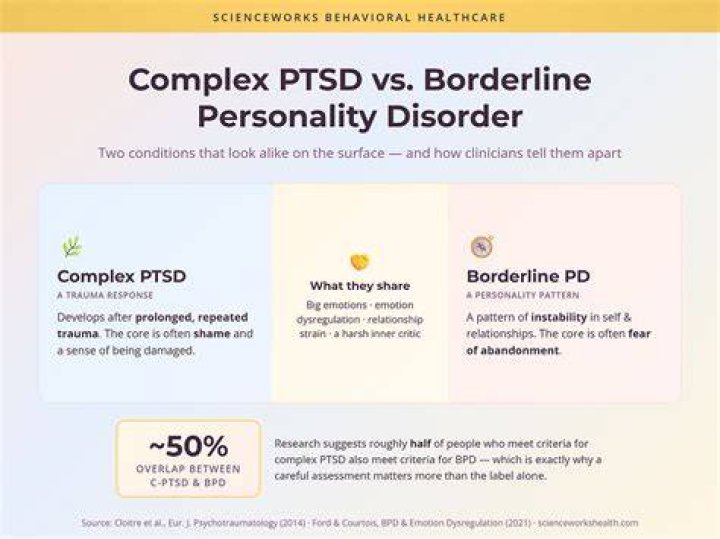 Is BPD just PTSD? - BlogInfo