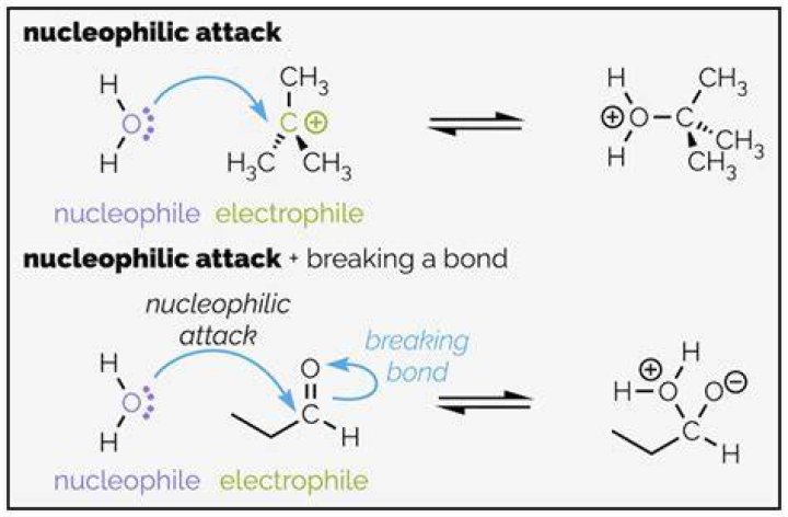 Is H2O nucleophilic or electrophilic?