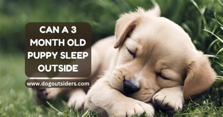 Is it okay to leave a puppy outside at night?