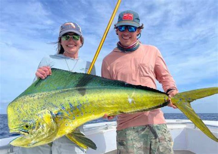 Is there mahi mahi in Florida?