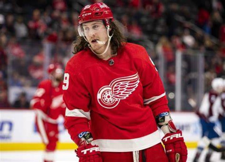 Is Tyler Bertuzzi Related To Todd Bertuzzi? Everything To Know About The Ice Hockey Player -