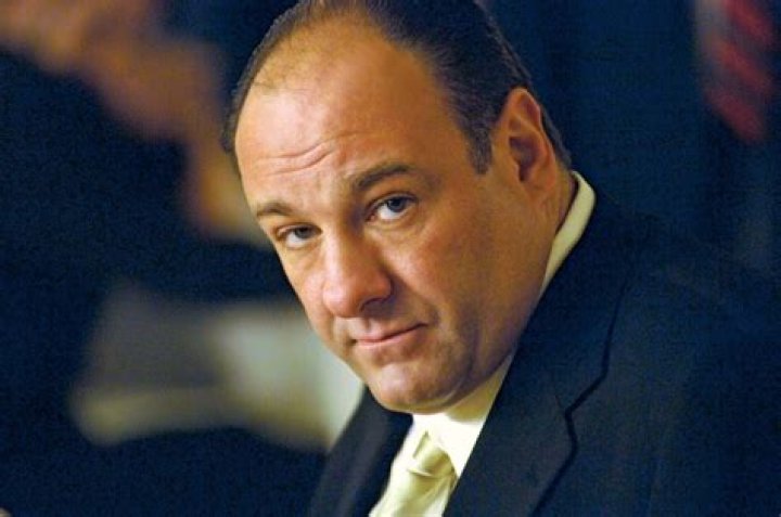 James Gandolfini Actors Are Idiots
