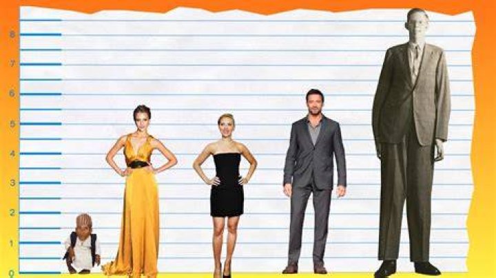 Jessica Alba Height and Weight Stats PK Baseline How Celebs Get
